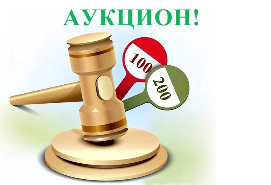 Информация о проведении аукционов.